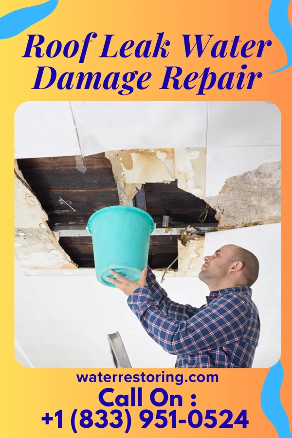 Roof Leak Water Damage Repair in Central Park, WA