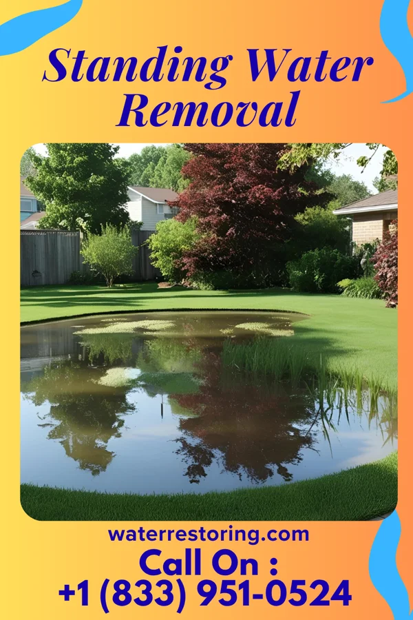 Standing Water Removal in Central Park, WA